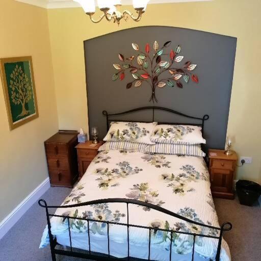 Bed and Breakfast Ty Madog Eryri Snowdonia Cwm-y-glo Exteriér fotografie